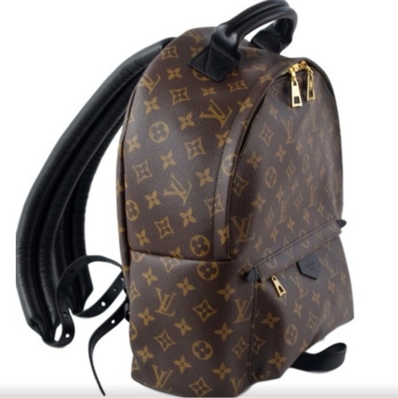 Louis Vuitton 
Monogram Palm Springs Backpack PM - Picture 5 of 15
